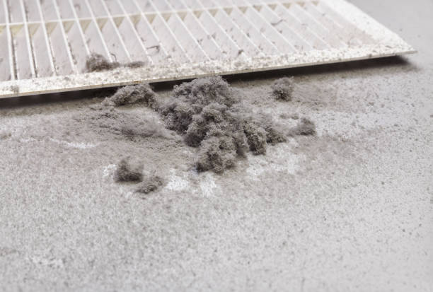 Best Professional Duct Cleaning Services  in Kapaau, HI