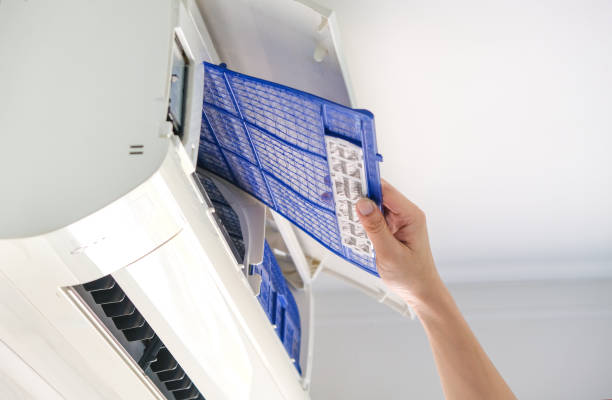 Best Affordable Duct Cleaning Services  in Kapaau, HI