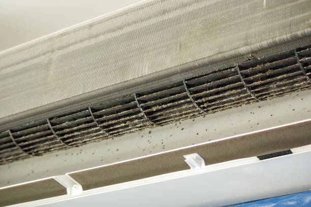 Best Ductwork Cleaning Services  in Kapaau, HI
