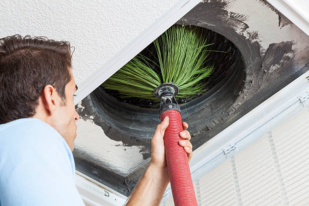 Best Dryer Vent Cleaning Services  in Kapaau, HI