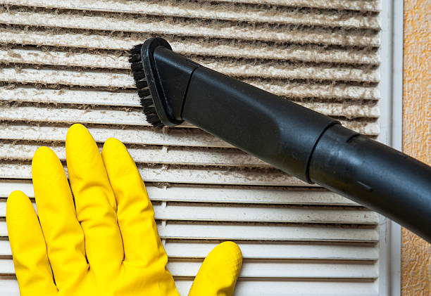 Best Affordable Duct Cleaning Services  in Kapaau, HI